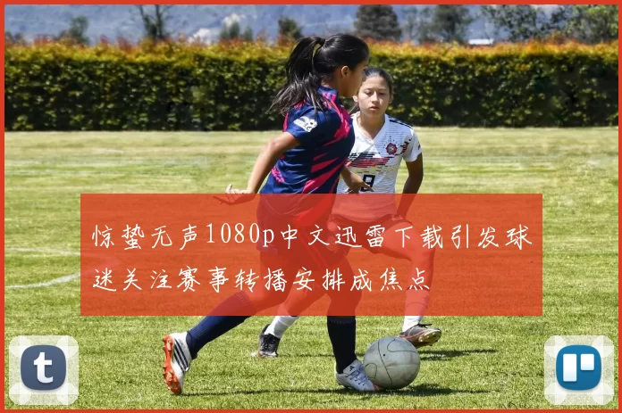 惊蛰无声1080p中文迅雷下载引发球迷关注赛事转播安排成焦点