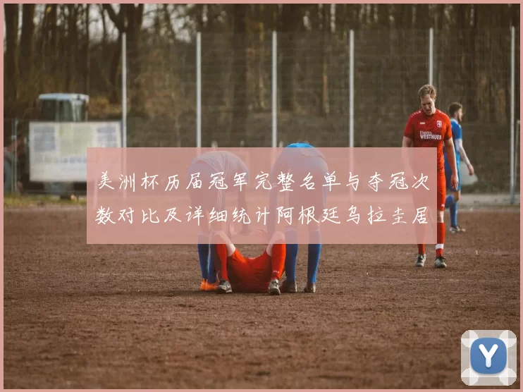 美洲杯历届冠军完整名单与夺冠次数对比及详细统计阿根廷乌拉圭居前